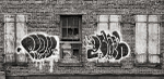 WINDOWS & GRAFFITI - NEW YORK CITY