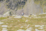 Duddon Long-1066