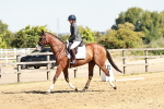 SBM_001360