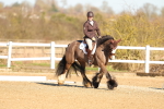 SBM_003464