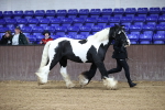 SBM_5351