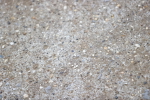 SBM_002656