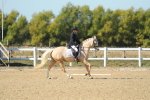 SBM_001352