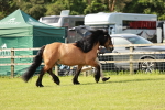 SBM_00865