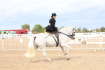 SBM_03410