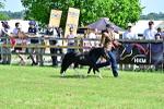 SBM_03660