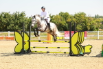 SBM_000305