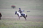 WJ5_6539
