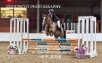 BPP_8286