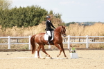SBM_019281