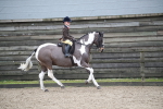 SBM_007918