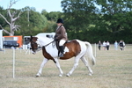 WJ7_6886