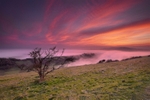 z2677 Culver Mist at Sunset