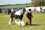 SBM_08831