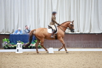 SBM_001557
