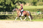 SBM_17370