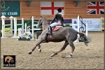 equiscot 7185