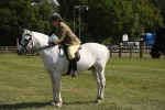 SBM_09605