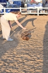 SBM_09669