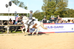SBM_14956