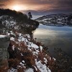 Winter Lakeside