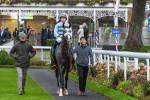 121024-Race 5-Almeric-3330