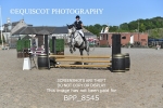 CLASS 2 Club/ Unaffiliated 80cms Open portfolio