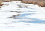 SPRING MELT - LONG POINT
