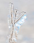 LAKE ERIE ICE, 2019 - LONG POINT