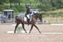 BPP_7033