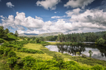 IMG_1244_ Tarn Hows