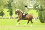 SBM_72098