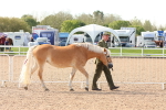 SBM_17966