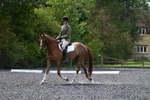 WJ5_9973