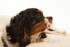 20120304-_MG_9276
