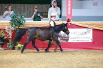 SBM_02244
