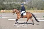BPP_8506