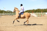 SBM_002674