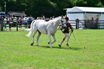 SBM_03885