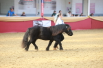 SBM_16661
