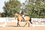 SBM_01685
