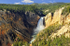 Grand Canyon of Yellowstone