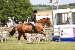 SBM_17755
