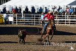 _DSC3281