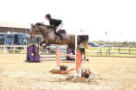 SBM_001803