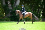 905-Lily.Bradstock-Letiska portfolio
