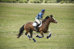 BVHT 140517  NXC -187