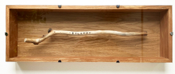 Tolstoys Stick