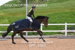 BPP_3263