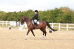 SBM_011895